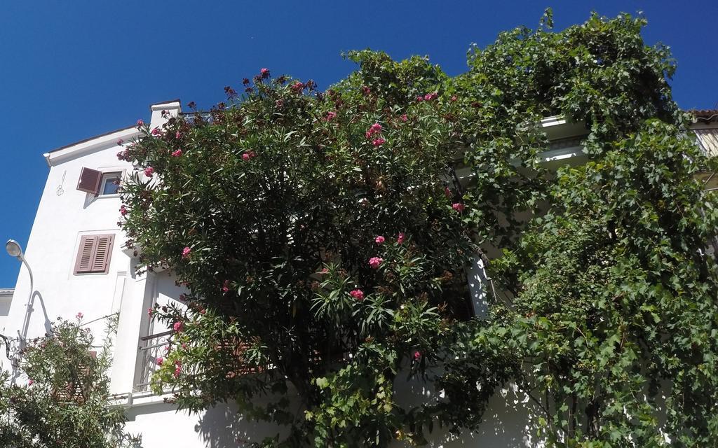 Guest House Neho Cres Esterno foto
